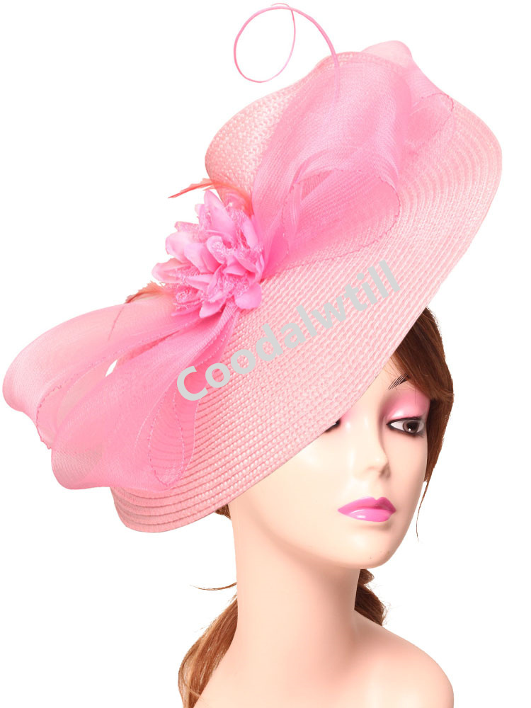Elegante Tea Party Fascinator  - Women'S Fashion Kentucky Derby recensione e prezzo
